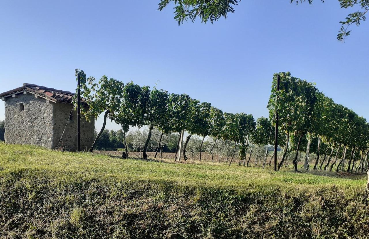 Vicolo Del Nido B&B Paderno Franciacorta Экстерьер фото