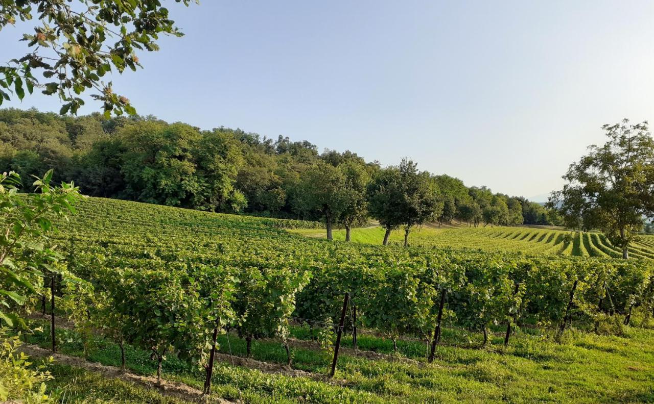 Vicolo Del Nido B&B Paderno Franciacorta Экстерьер фото
