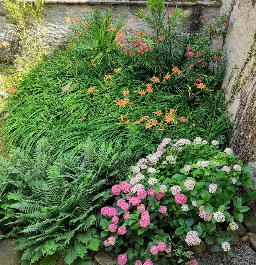 Vicolo Del Nido B&B Paderno Franciacorta Экстерьер фото