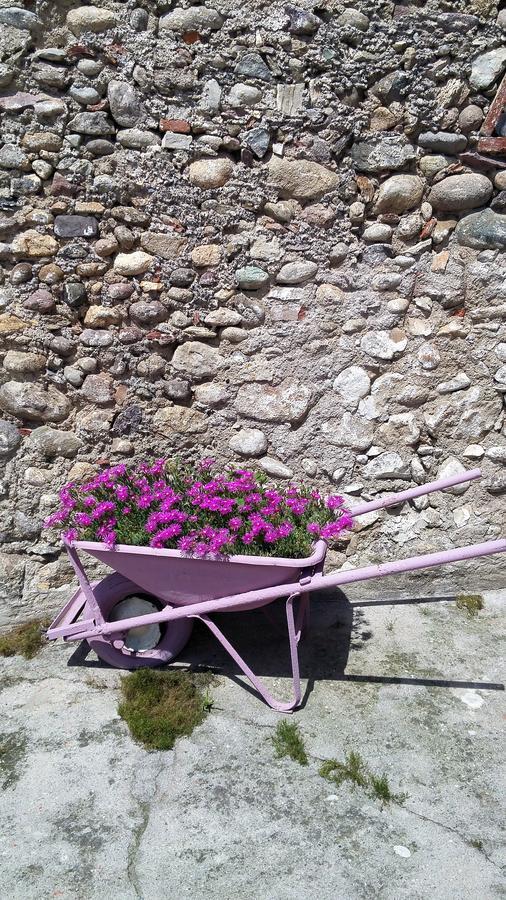 Vicolo Del Nido B&B Paderno Franciacorta Экстерьер фото